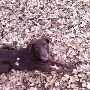 Meet your Posher, Courtney